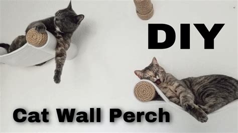 Wall Mounted Cat Perch Diy