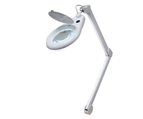 Wall Mounted Magnifying Light