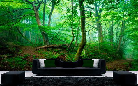 Wall Murals With Forest