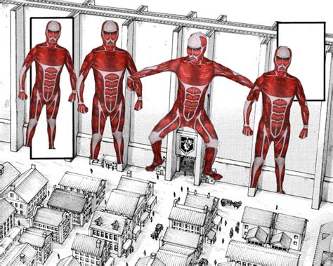 Wall Titans Vs Fleet