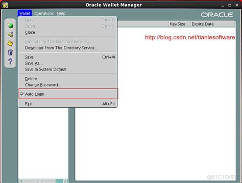 Wallet Type Oracle