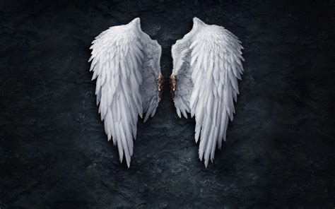 Wallpaper Angel Wings