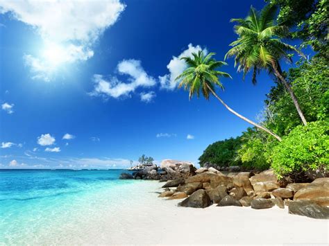 Wallpaper Beach Paradise