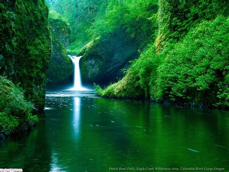 Wallpaper Beautiful Waterfall