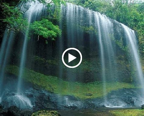 Wallpaper Desktop Gerak