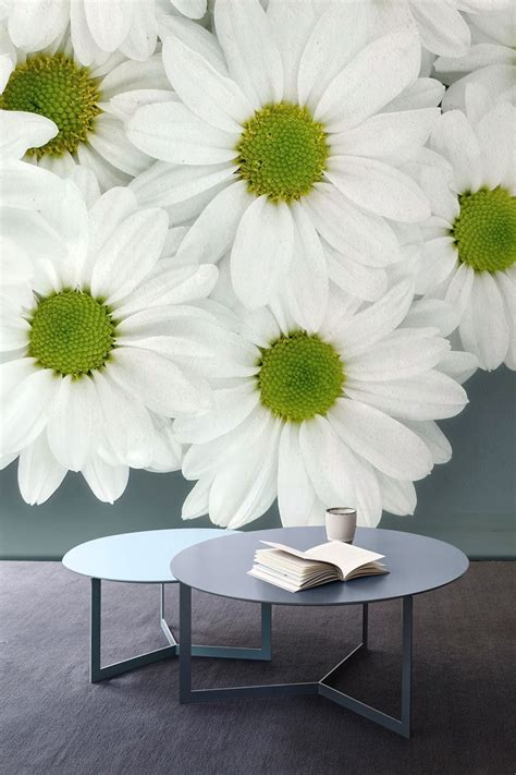 Wallpaper Mural Daisies