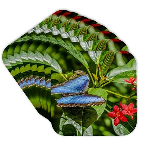 walmart coral gables