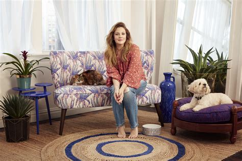 walmart drew barrymore home