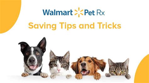Walmart Rx Pet Promo Code