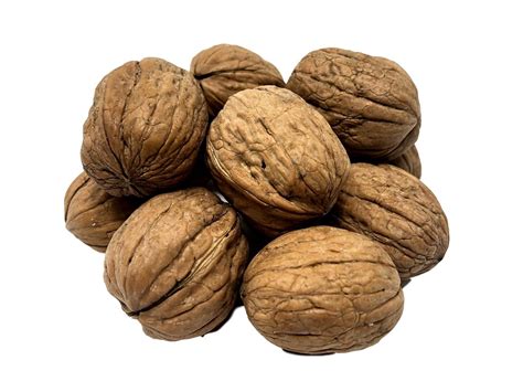 Walnut Buying