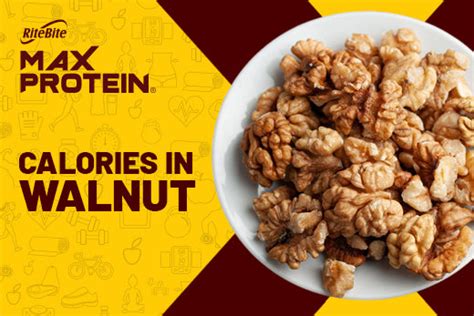 Walnut Meat Calories