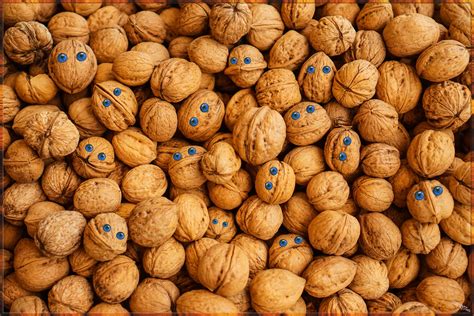 Walnut With Eyes