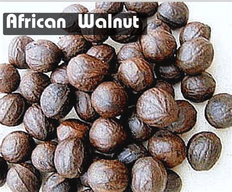 Walnut Yoruba Name