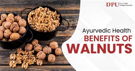 Walnuts In Ayurveda
