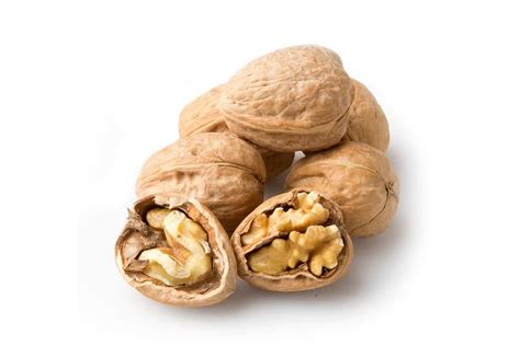 Walnuts In Shell Australia