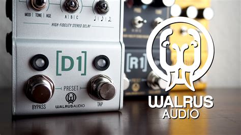 Walrus Audio Delay