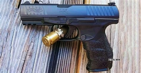 Walther Ppq Vs Ppd