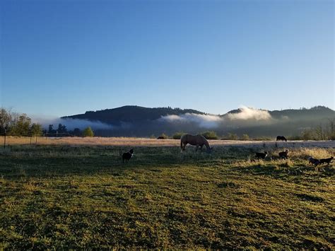 Wandering Acres Ranch