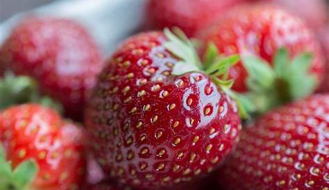 Erdbeerzeit: Wann gibt es frische Erdbeeren? Erdbeersaison 2018