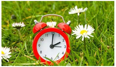 Werden schon an diesem Wochenende die Uhren auf Sommerzeit umgestellt?
