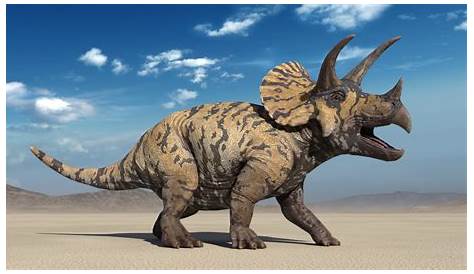 10 Größte Dinosaurier, die die Erde beherrschten! | Dinosaurier