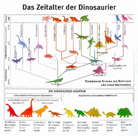 wann lebte welcher dino