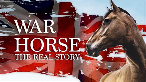 war horse the real story
