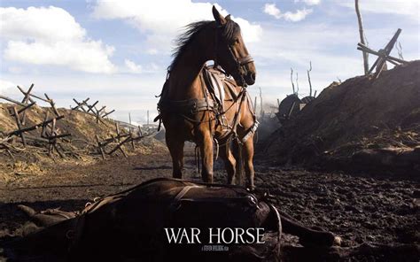 war horse where to watch