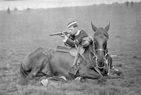 war horses world war i