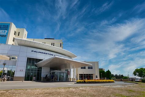 ward 21 palmerston north hospital