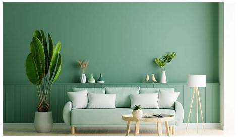 Warna Cat Sage Green Sebagai Inspirasi Dekorasi Ruangan - Jasa Cat