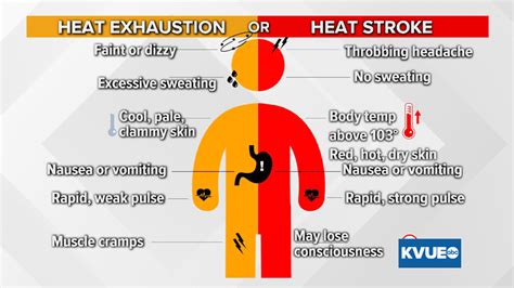 warning signs of heat exhaustion and stroke