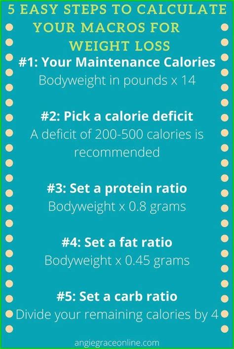 warrior babe macro calculator