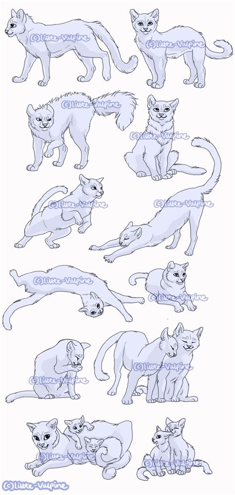 The Best 5 Warrior Cat Pose References drawskillinterest
