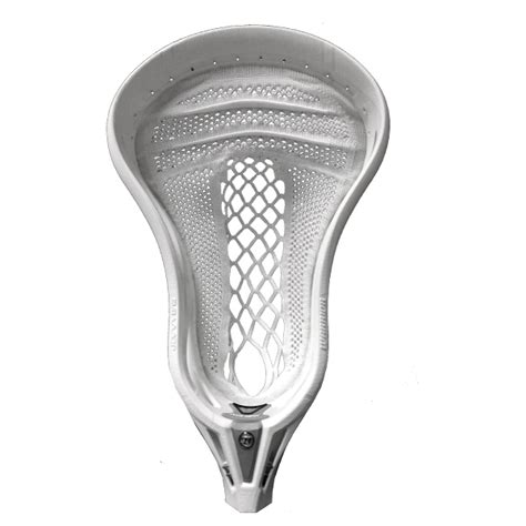 Warrior Evo Pro Head