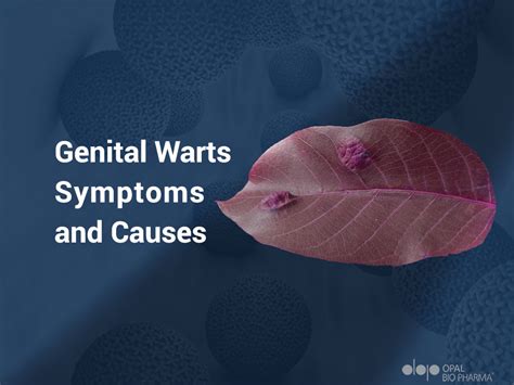 warts on vaginal lips