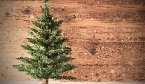 Wie entstand die Tradition vom Weihnachtsbaum? - Mamiweb.de