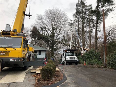 SENNEBOGEN Tree Care Handlers “Are The Future” For Warwick Tree Service