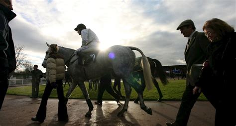 warwick racecourse owners and trainers