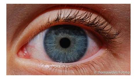 Große Pupillen sollen ein Hinweis auf Intelligenz sein - Unterm Strich