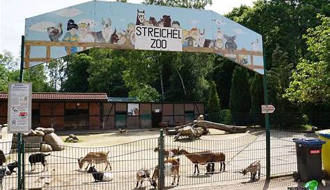 Ziege aus Herminghauspark in Velbert gestohlen: Streichelzoo ist nun