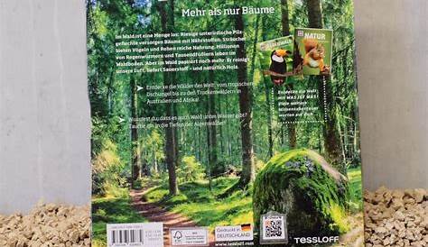 Kindergarten Buch Am Wald | Germany Buch
