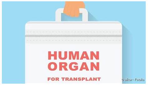 Tag der Organspende – gut informiert entscheiden | WW-Kurier.de