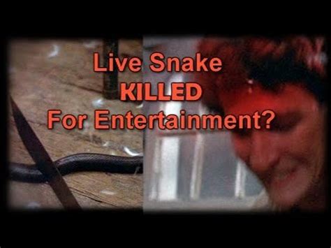 was a snake killed in friday the 13th
