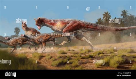 Was Carnotaurus A Pack Hunter