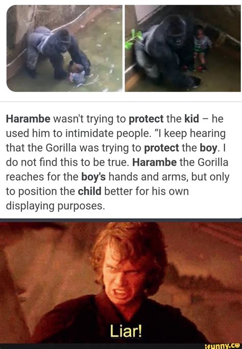 was harambe trying to protect the kid