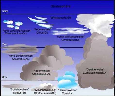 was ist das artikel von wolke