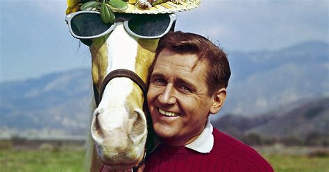 was mr ed a real horse
