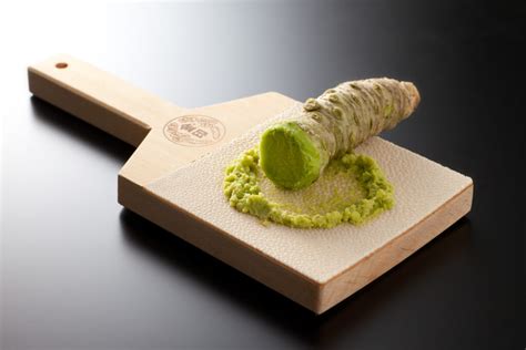 Wasabi Grater