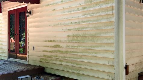 wash algae off siding